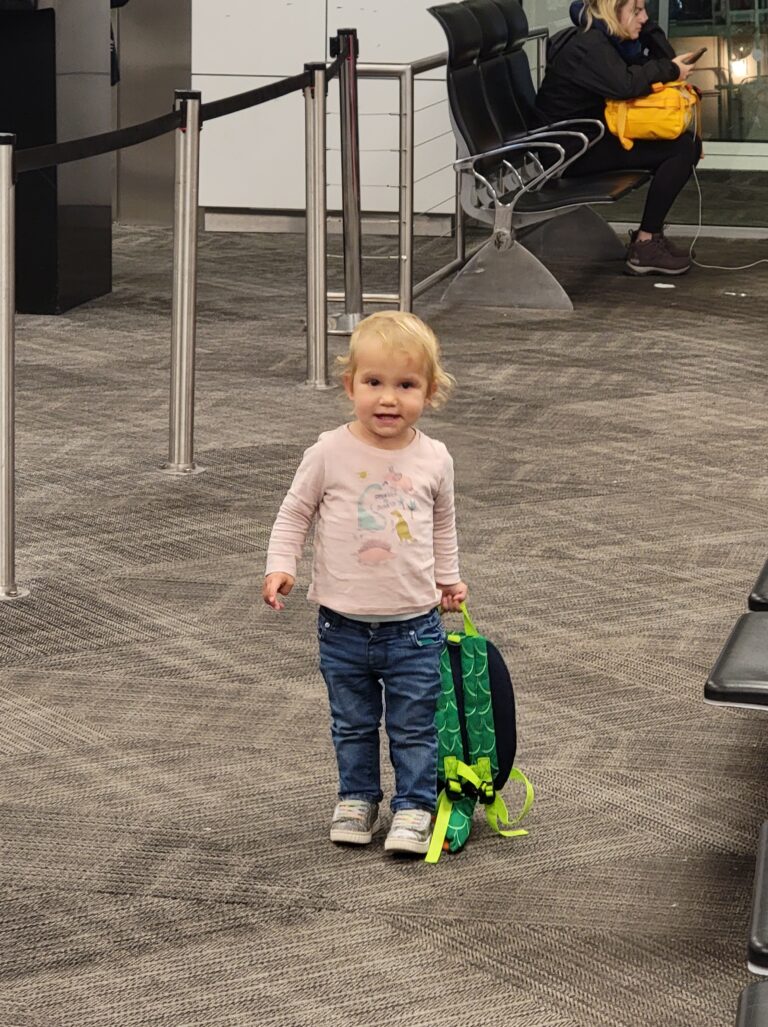 Iceland for the Summer!