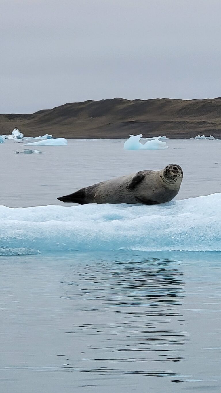 Waterfalls and glaciers